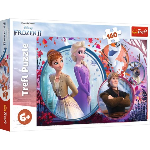 Puzzle - 160 - Siostrzana przygoda - Disney Frozen Trefl 15374