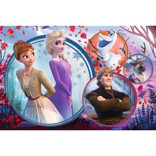 Puzzle - 160 - Siostrzana przygoda - Disney Frozen Trefl 15374