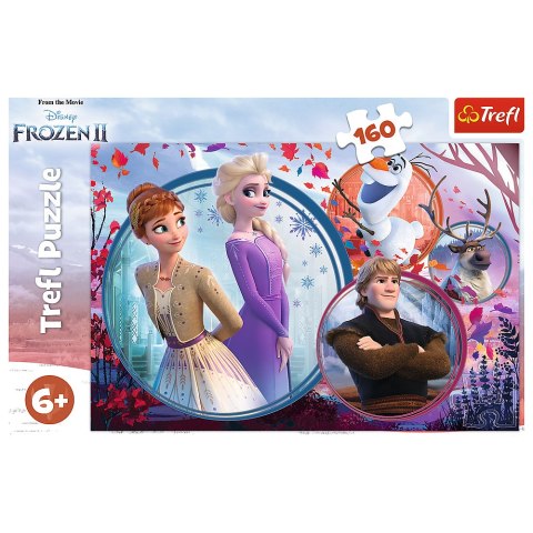 Puzzle - 160 - Siostrzana przygoda - Disney Frozen Trefl 15374