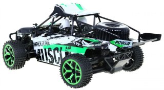 Autko Terenowe R/C 2.4G 1:18 Zielony