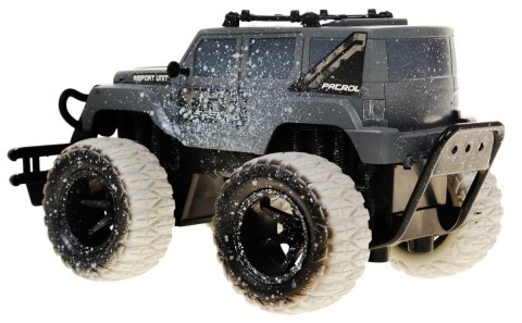 Auto Terenowe R/C 1:16 Popielate